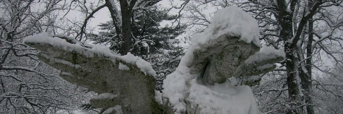 lavnderwtch's profile banner image