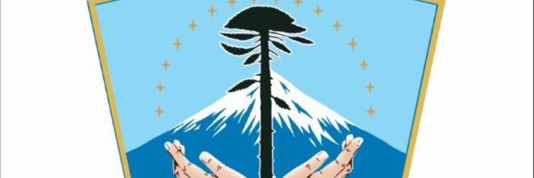 Delio Andrés  Lagos banner