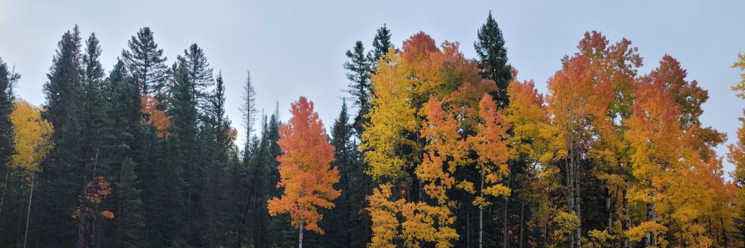 kateboyce's profile banner image