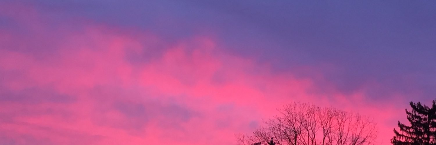 Jess banner