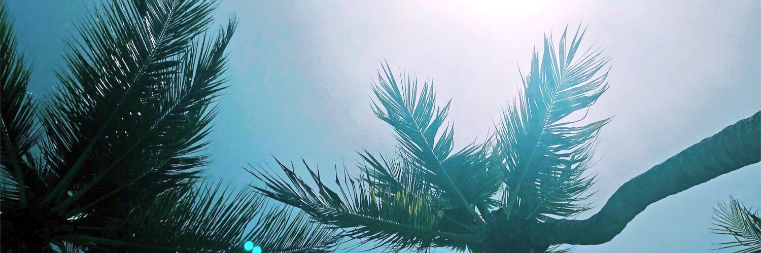 t_hartz22's profile banner image