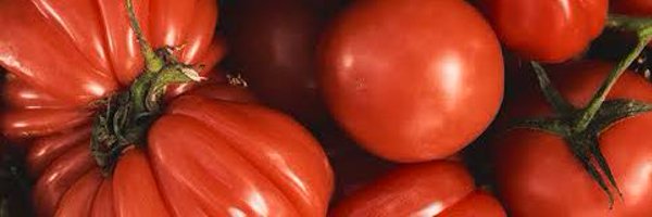 peepzii Profile Banner