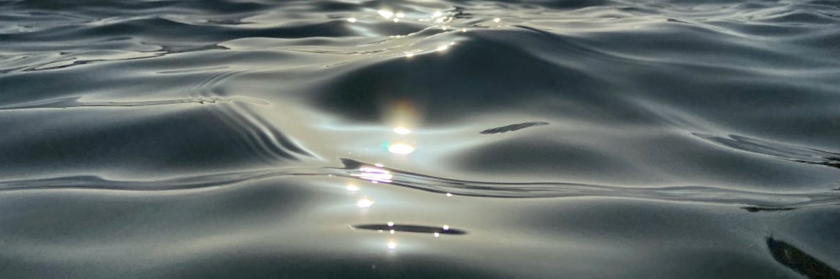shelem_r's profile banner image
