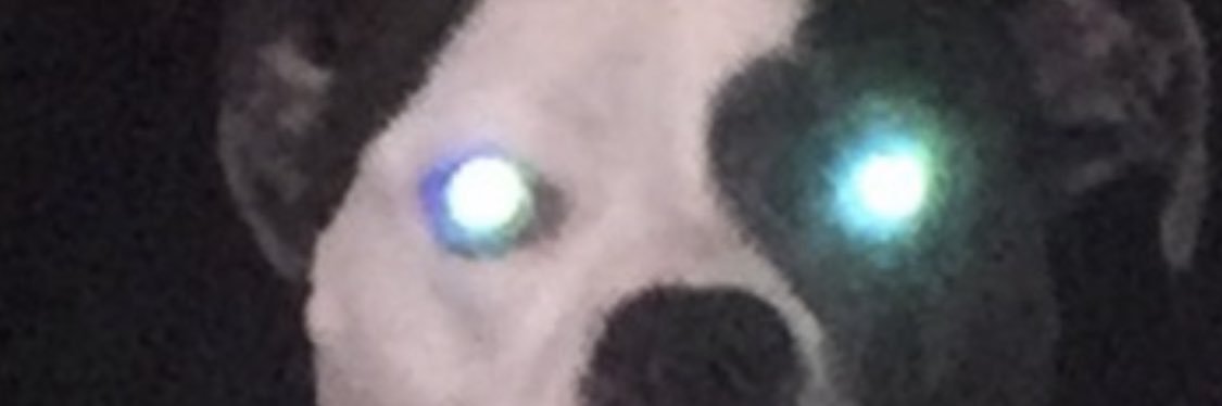 joneggert29's profile banner image