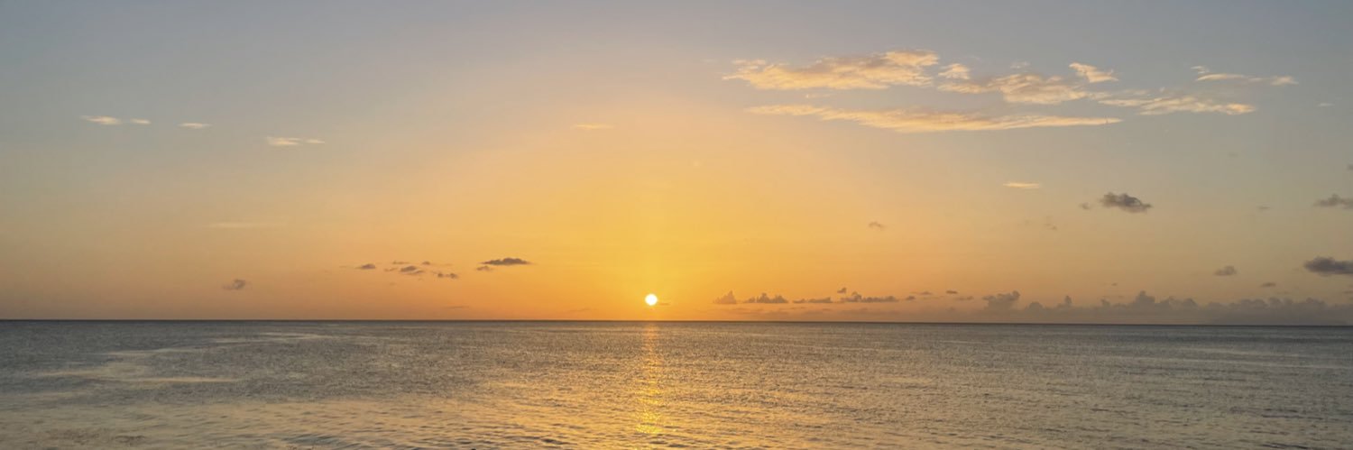 basicallyemilie's profile banner image