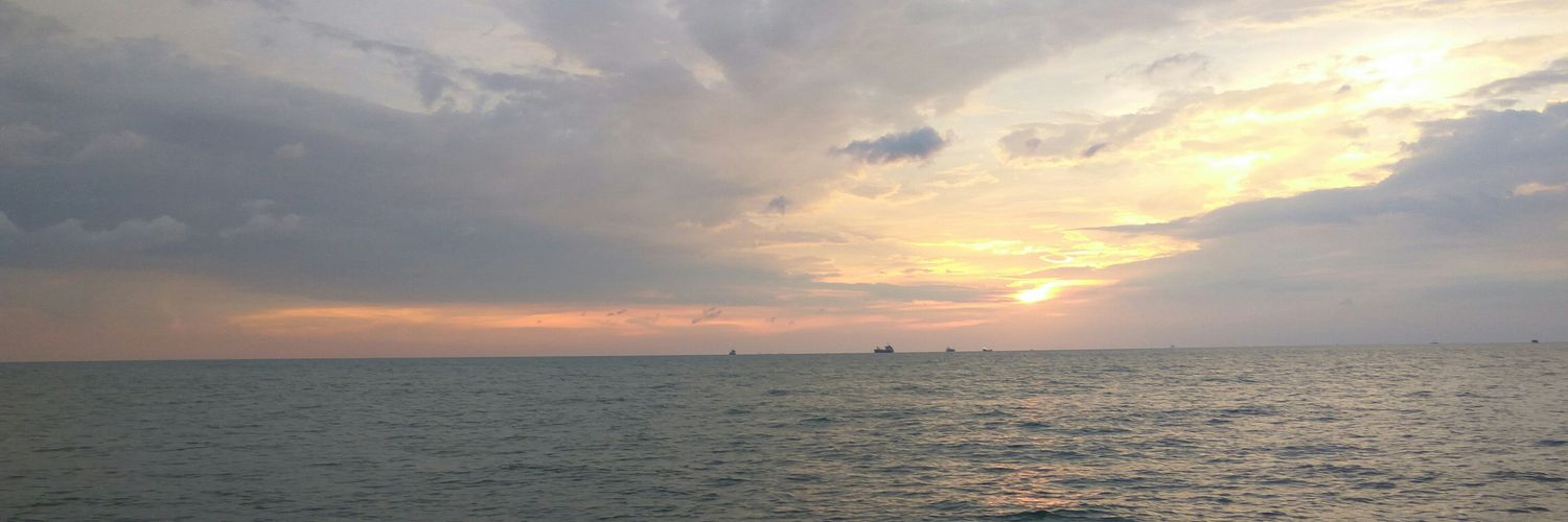 someshm's profile banner image