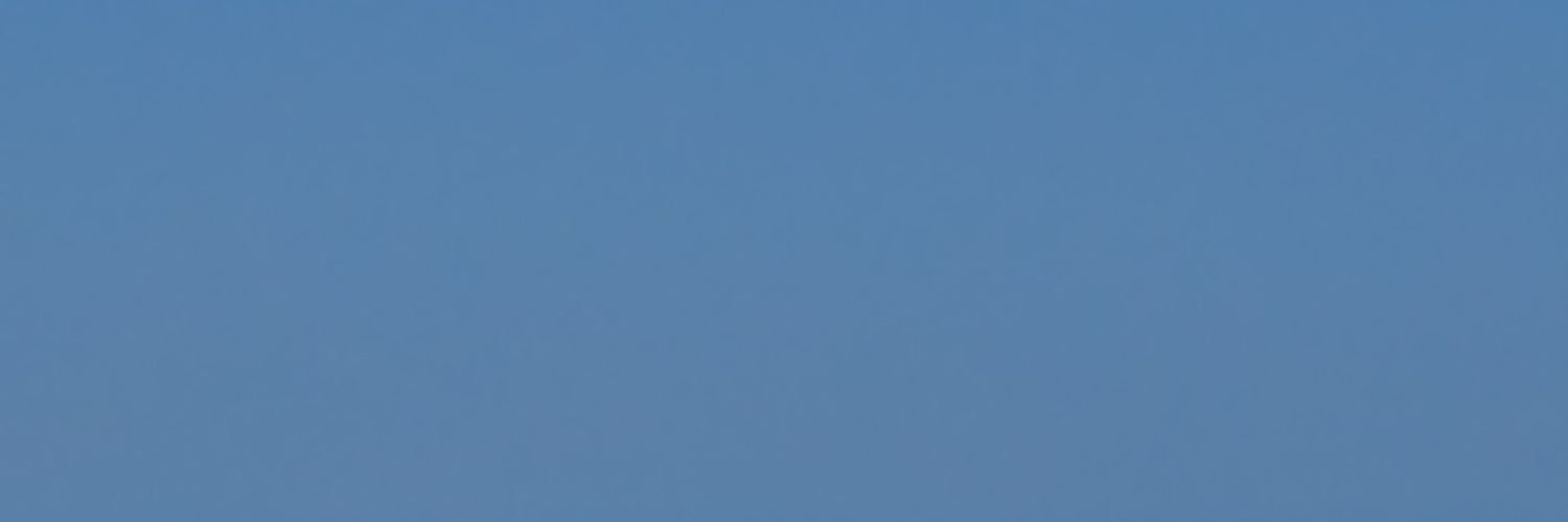 EmilyMcMillion's profile banner image