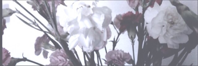 oakleyscoffee's profile banner image