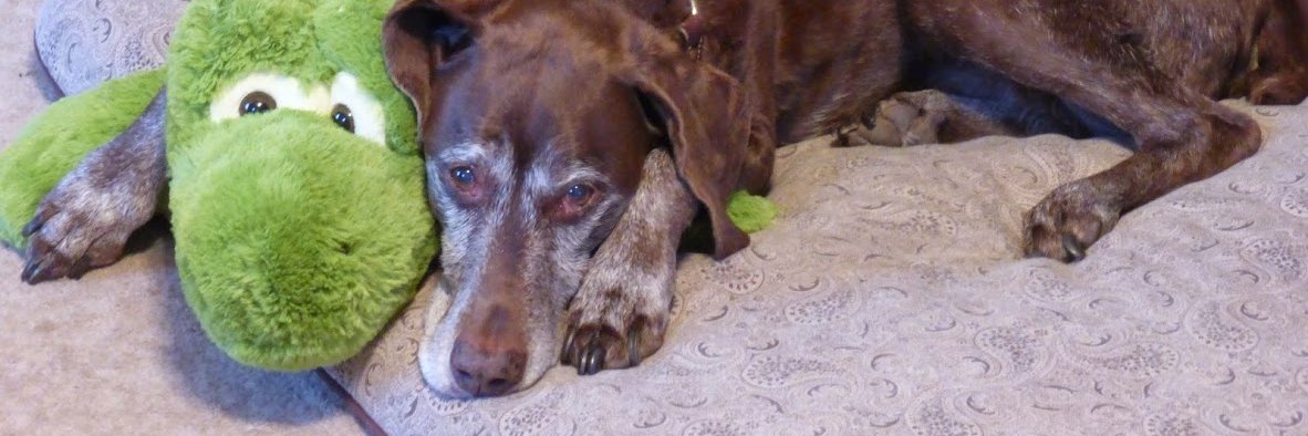 Beth Clark 🍍 banner