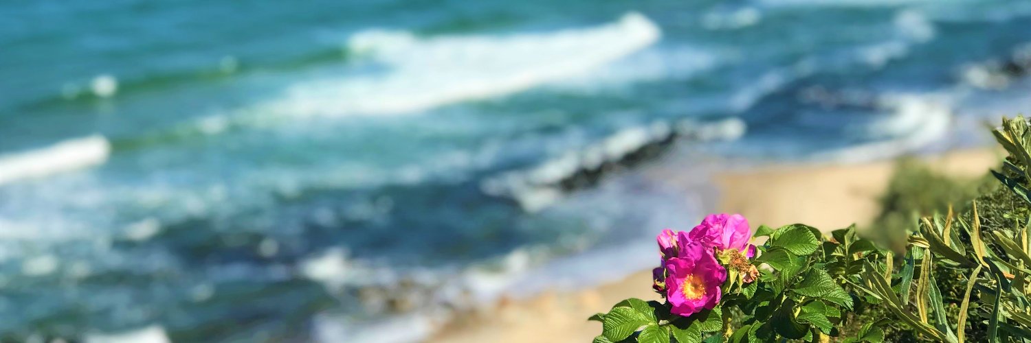 AdaptivePurpose's profile banner image