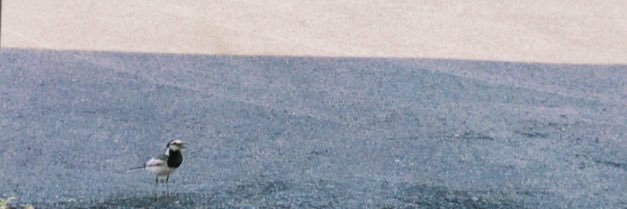 qp12t's profile banner image
