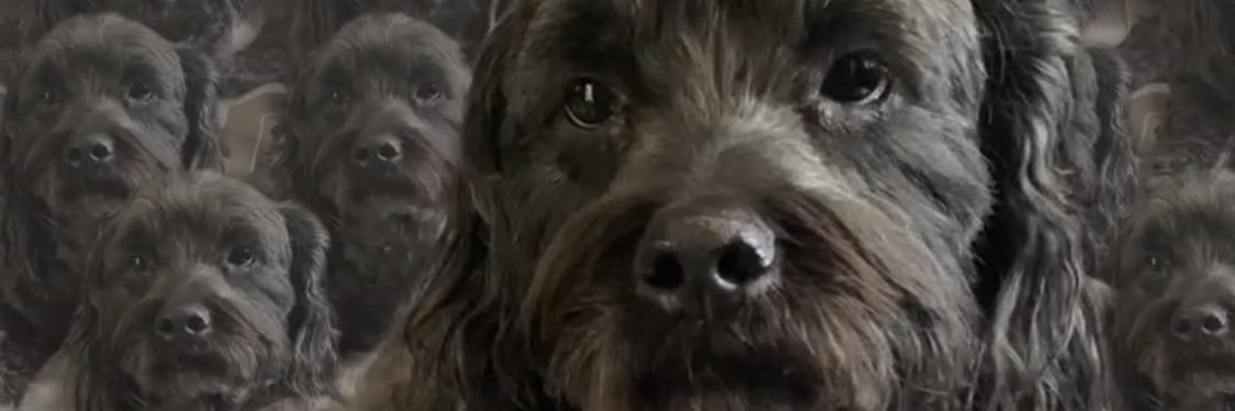 BrayanM08's profile banner image