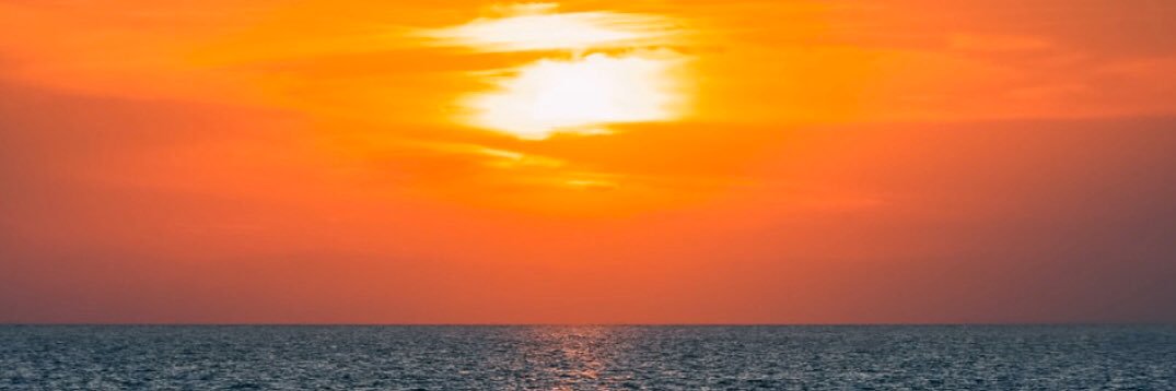 nicolalipscomb's profile banner image