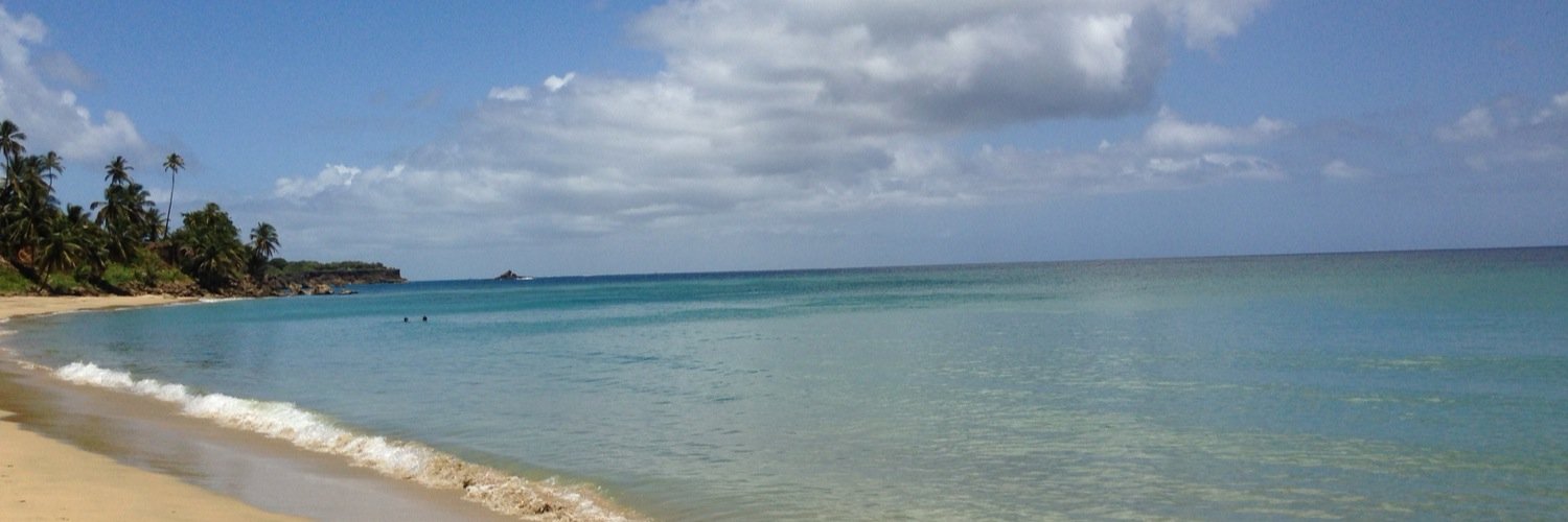 PaulaSimon1's profile banner image