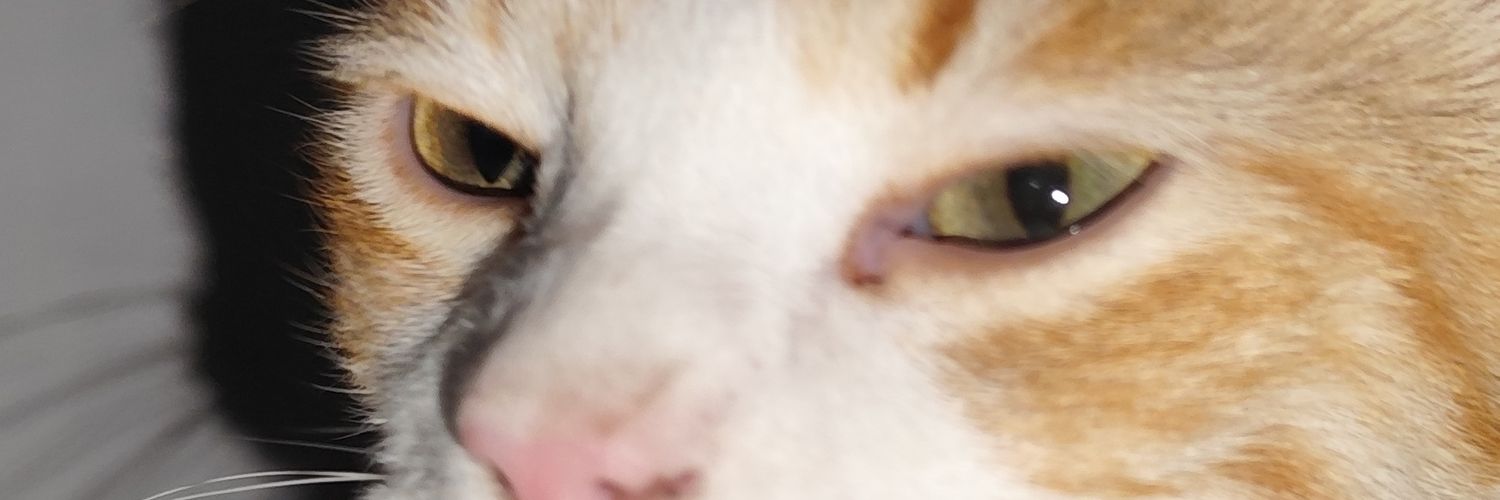 Javt96's profile banner image