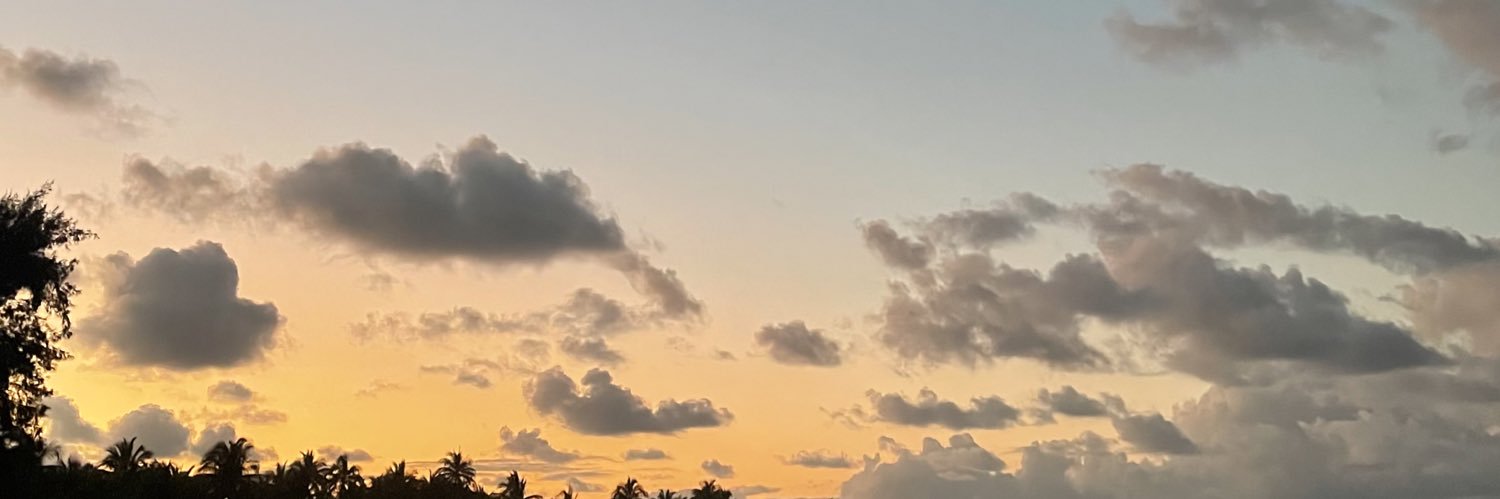 lucifvidal's profile banner image