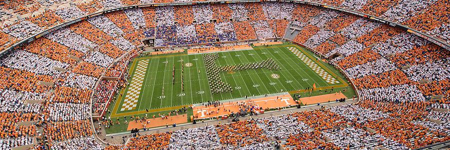 lakevol's profile banner image