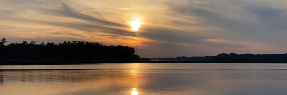 RickettsJosie's profile banner image
