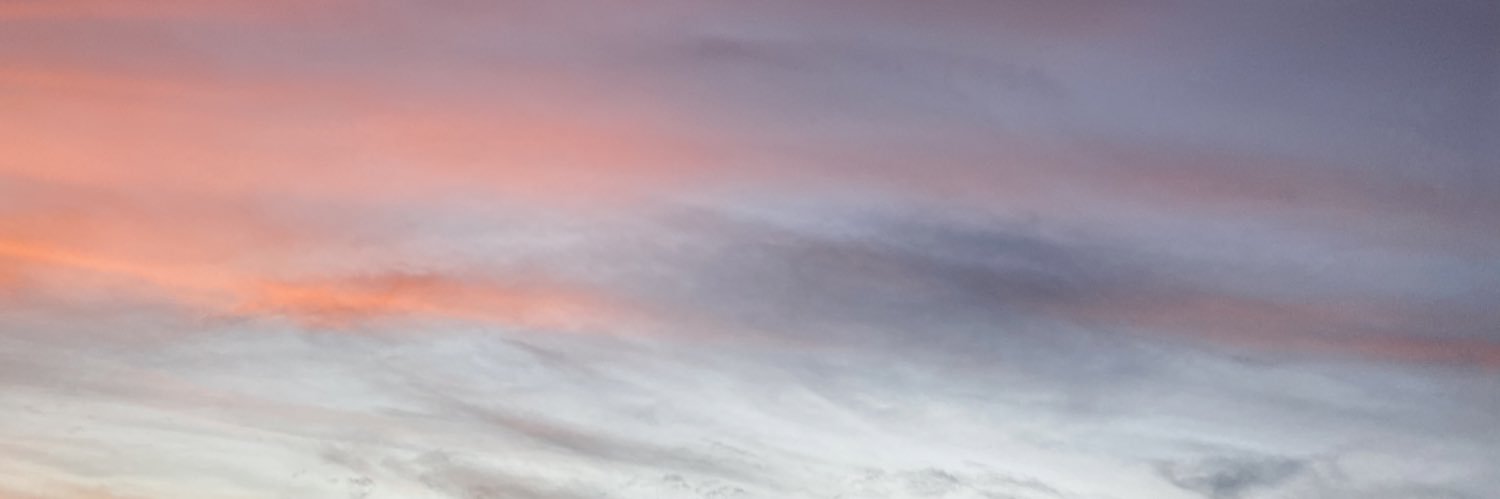 litzyalo's profile banner image