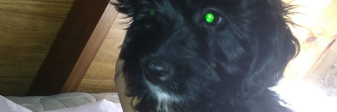 camicarranza19's profile banner image