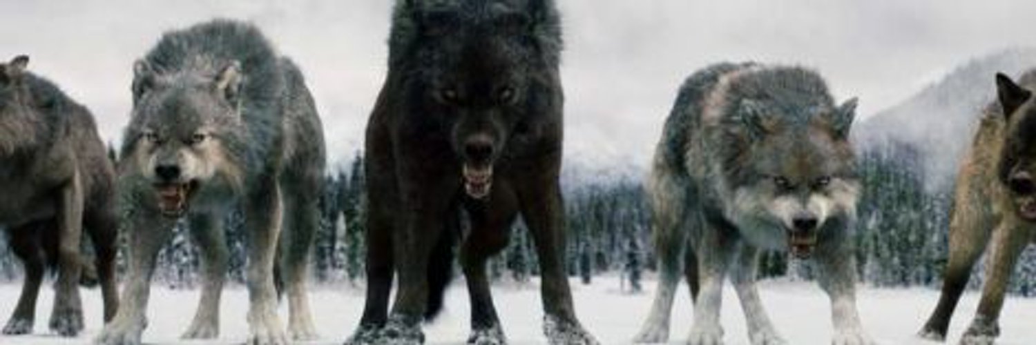 Anonformation's profile banner image