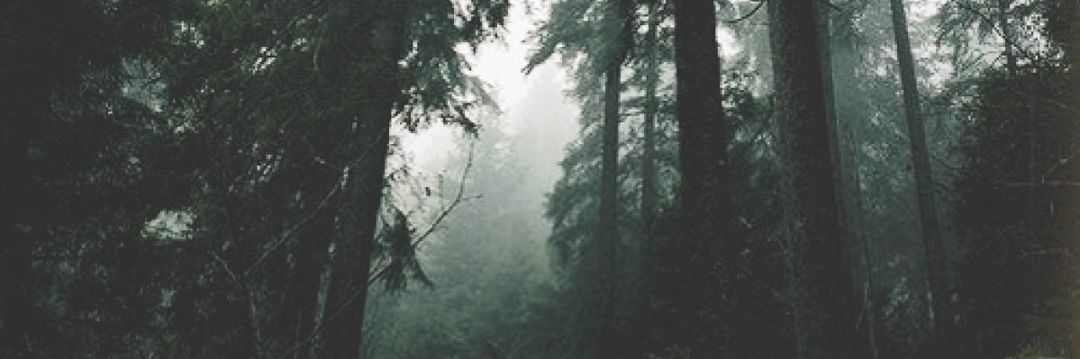 sam_selden's profile banner image