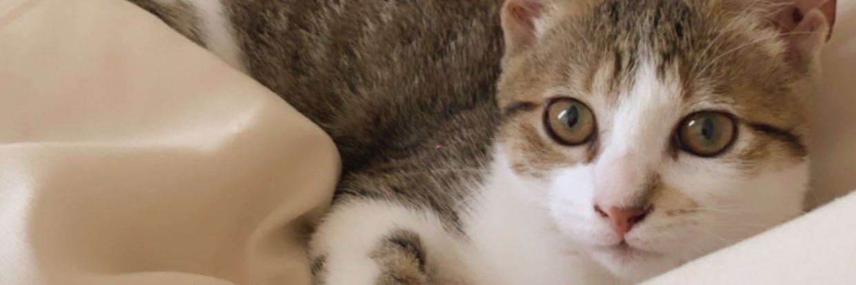 LuzVictoria14's profile banner image
