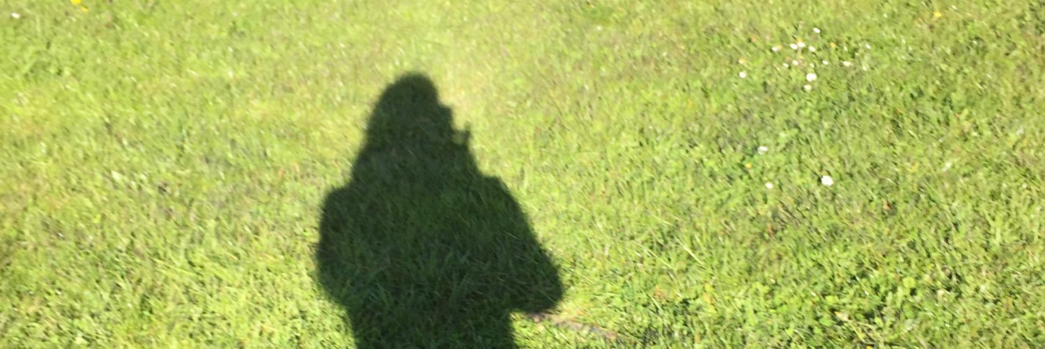 Laragraaf's profile banner image