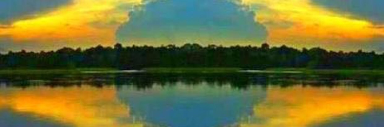 WSchaumloffe's profile banner image