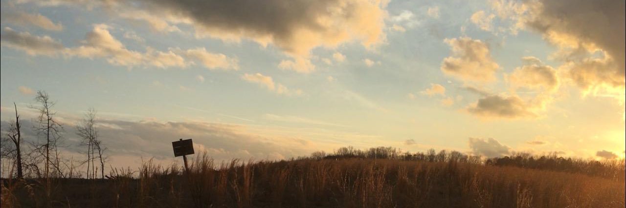 TurnerTime42's profile banner image