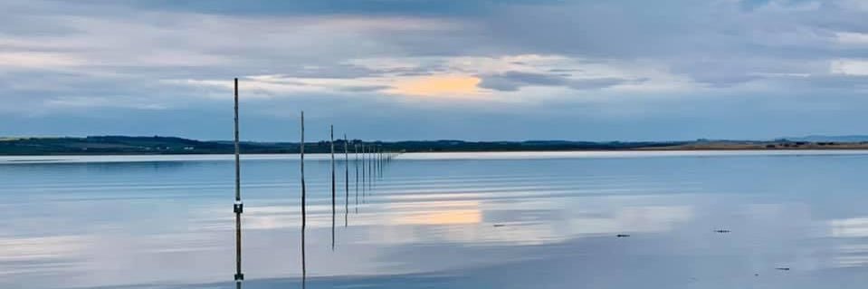 Julia Antcliffe banner