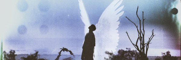 sollasidotae Profile Banner