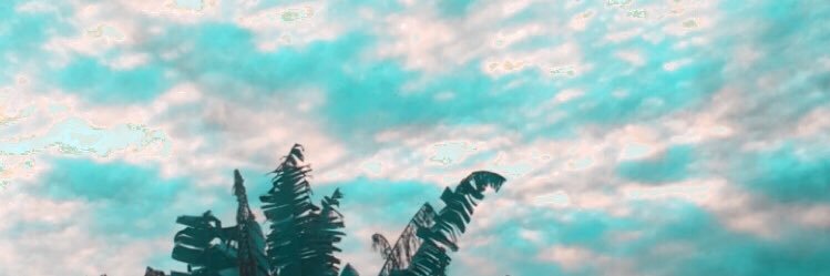 m_agux's profile banner image