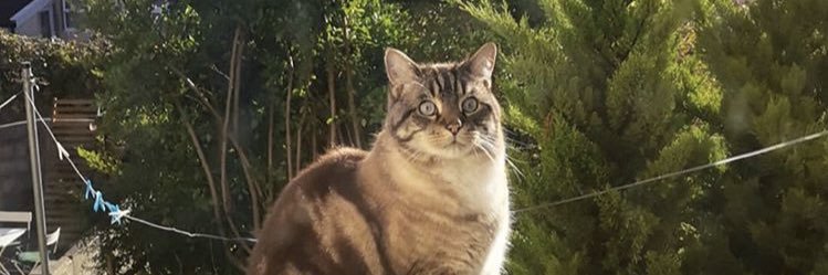 milessarnold's profile banner image