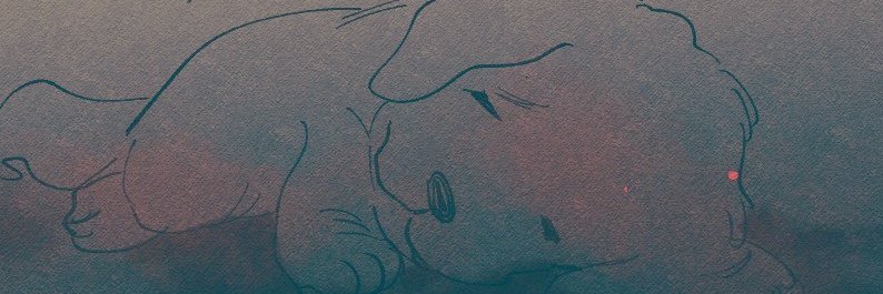 _sorka's profile banner image