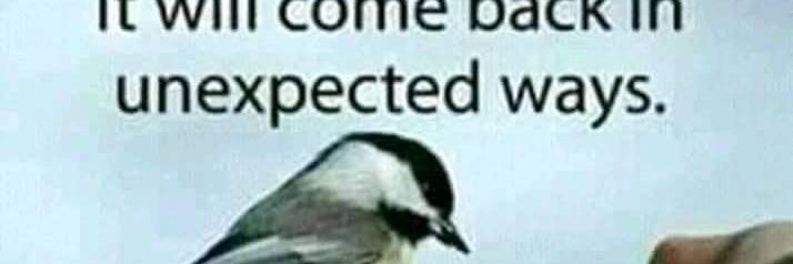 raphaelmwangi69's profile banner image