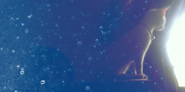NoeMaxGD's profile banner image