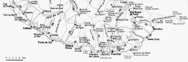 vitoriateam Profile Banner