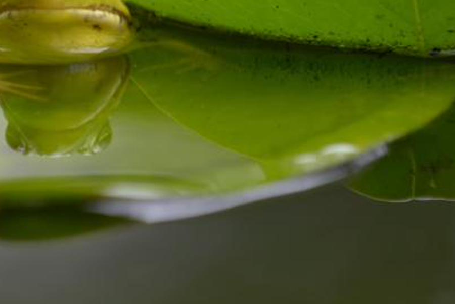 primoridod's profile banner image