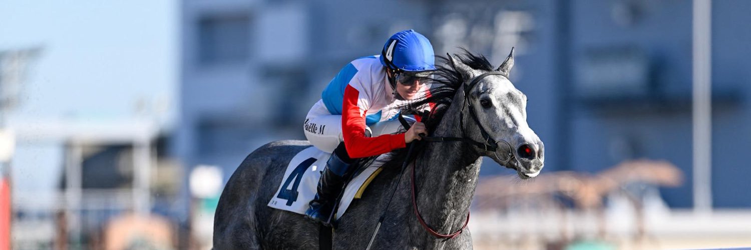 Frederic Spanu Racing banner