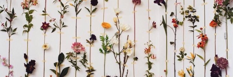 brianaegger's profile banner image