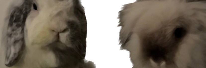 cabarsen's profile banner image