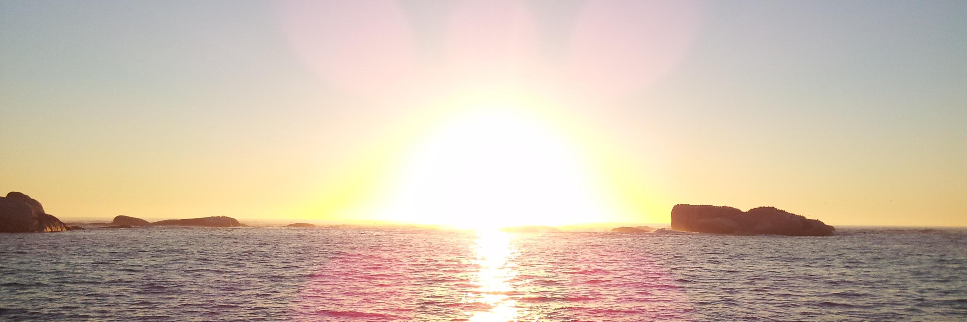 sessa's profile banner image