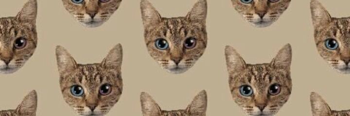 JuliaHuarte1's profile banner image