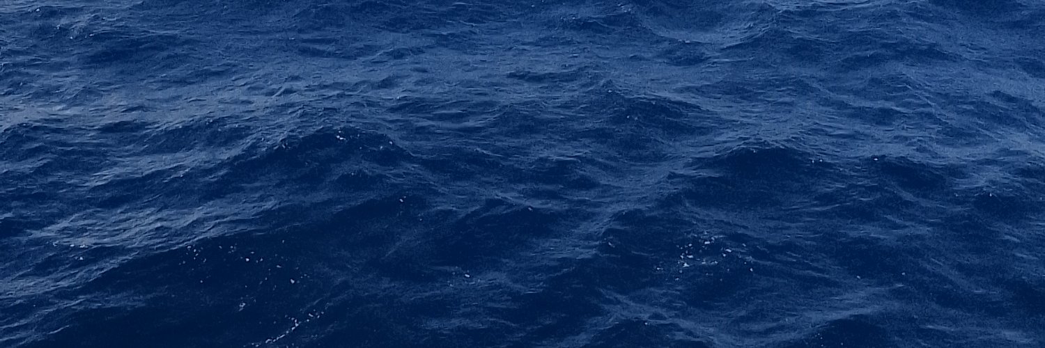 _ztwo's profile banner image