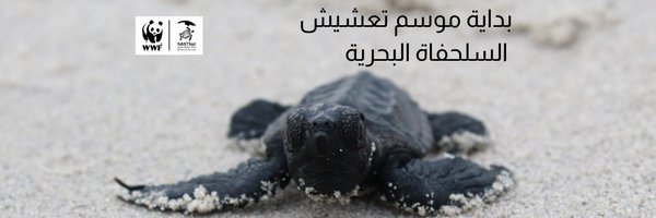 WWFNorthAfrica Profile Banner