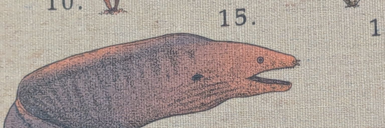 stygian bitch 🌙 banner