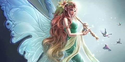 erycoh100's profile banner image