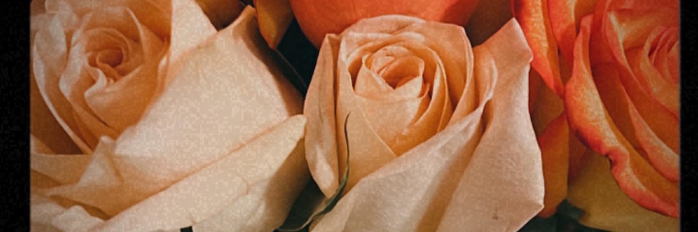 TinaRWilliams's profile banner image