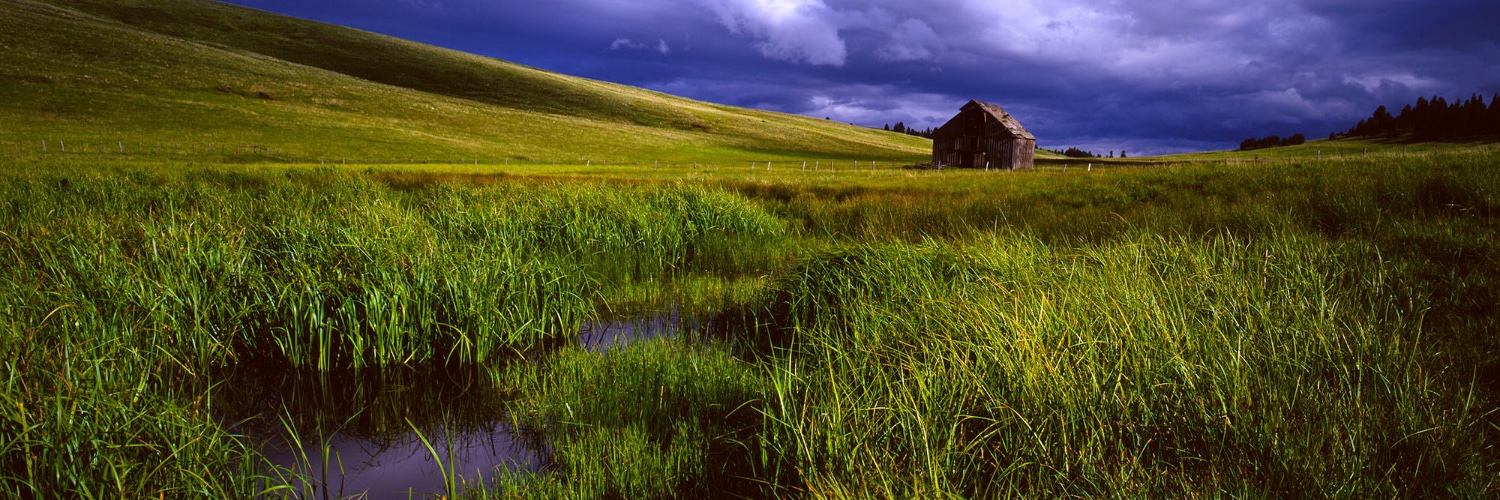 Freckles 🐉🏳️‍🌈🪷 banner